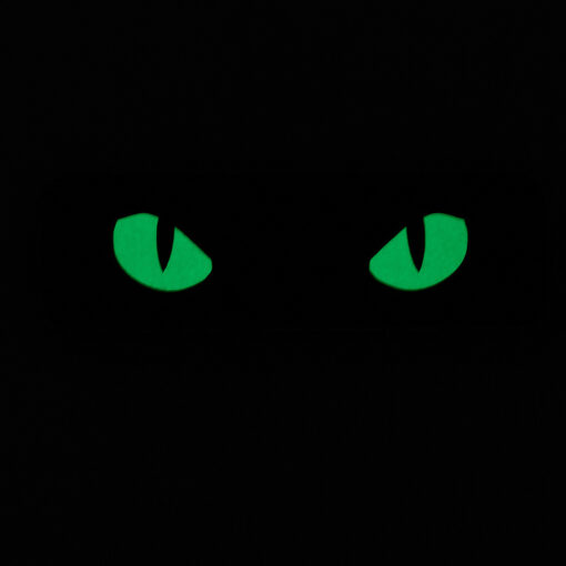 Naszywka M-Tac Cat Eyes Typ 2 Laser Coyote