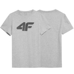 T-Shirt Męski 4F TSM353 Chłodny Jasny Szary Melanż
