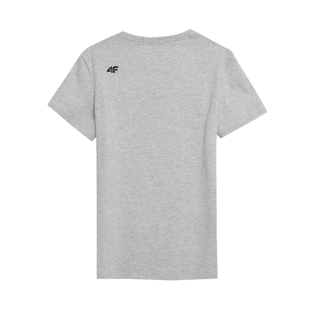 T-Shirt Męski 4F TSM353 Chłodny Jasny Szary Melanż