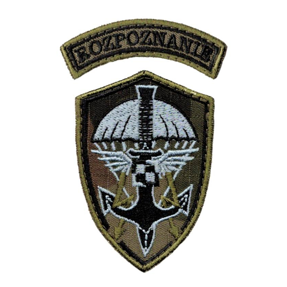 Plakietka Rozpoznanie Polowa WZ 2010 Rzep